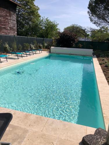 Peldbaseins, Les Gites des Chats - réservation de La maison des chats et de La grange (Les Gites des Chats - reservation de La maison des chats et de La grange) in Montaigu-de-Quercy