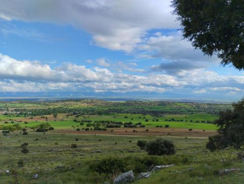 Pet friendly La Golondrina del Duratón (Pet friendly La Golondrina del Duraton) in Sebulcor