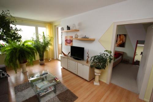 Private Apartment, Hannover (photo 5)