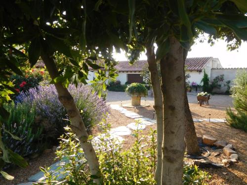 Dārzs, La huerta El Tordo in Manganeses de la Lampreana