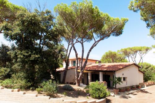 Tenuta le marze 3