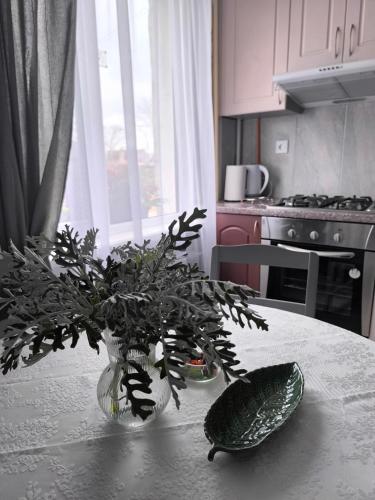 Ludza stay Apartment in 盧扎