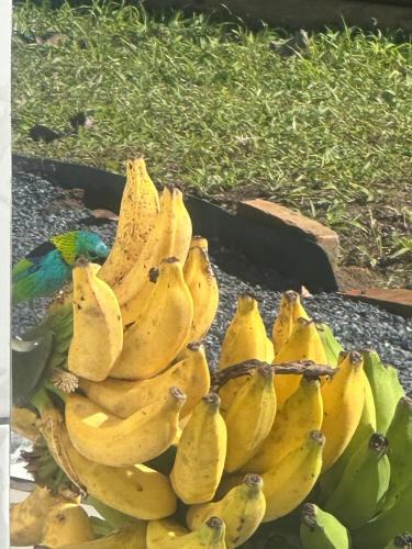 Sitio Encantos do Vale in Centro