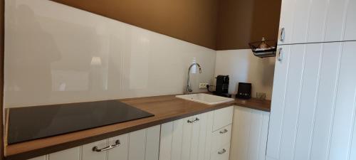 Sabines Apartments Ferienwohnungen - Frauenkirchen