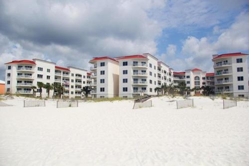 Palm Beach A54