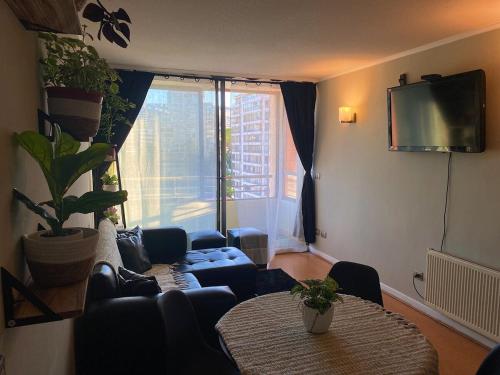 Central apartment in Viña del Mar
