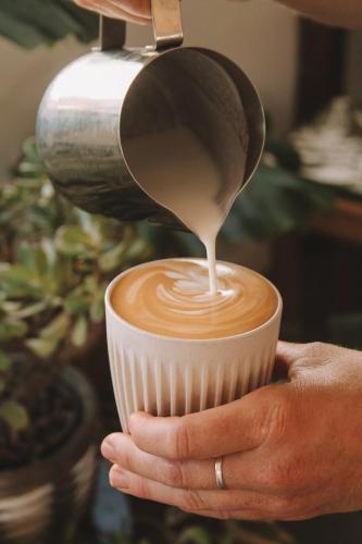 GARDEN HOUSE VILLA - Tasman, Nelson in Tasman