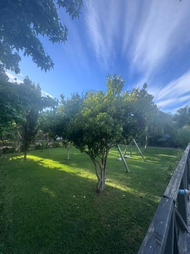 Termas del vino in Palmilla