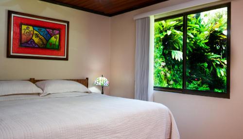 La Terraza Guest House B&B - image 3