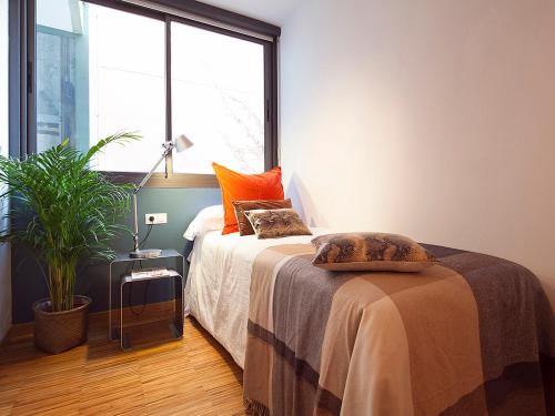 Apartment with Terrace image 7