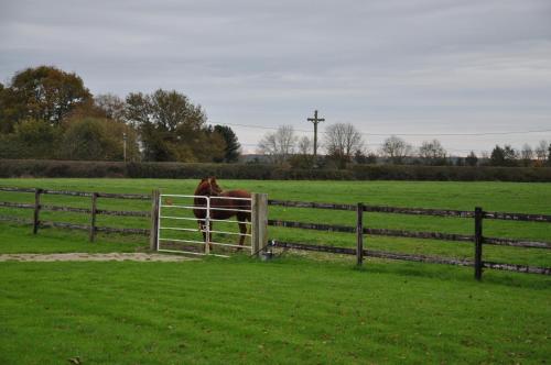B&B Haras de la Cour Fleury in Saint-Michel-de-Livet