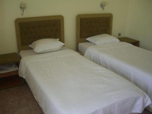 Double or Twin Room with Terrace