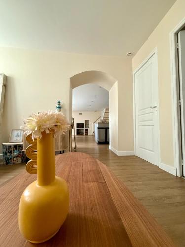 L'escale Granvillaise - Location saisonnière - Granville