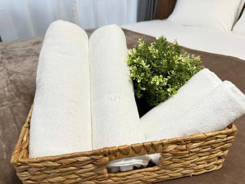 Shinjuku Area 302 Shinjuku Apartment