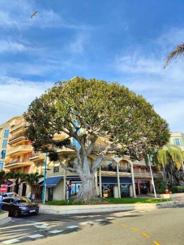 Le COQ Bleu d'Azur- Piscine - Parking - AC -WIFI in 芒通