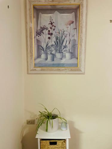 3 bedroom Creswell Street Cottage - Pet Friendly in เวสต์ วาลอง
