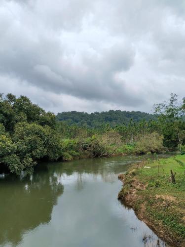 Coffee Estate Stay - Private Room in Kadavanthi