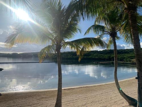 Tropical Escape1511 in Freetown