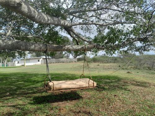 Indigo Crest in Bathurst