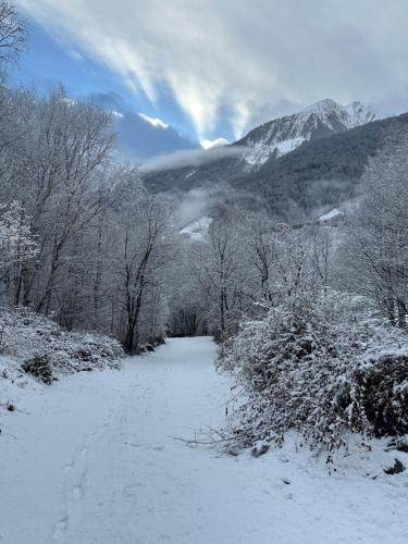 Waterfall House - Art and Design, Ski, Hike, Swim gîte à louer Borghetto