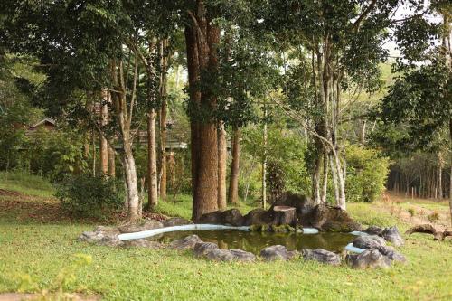 Aquatica by bough'n villa in Nadavayal