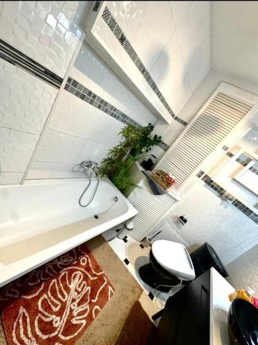 Apartament Majowa