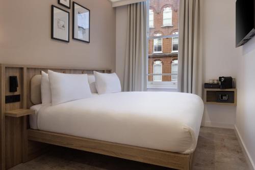 The Drey - Kensington, Earl's Court, Londyn