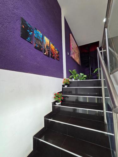 Alisos Suite FC in Los Alisos