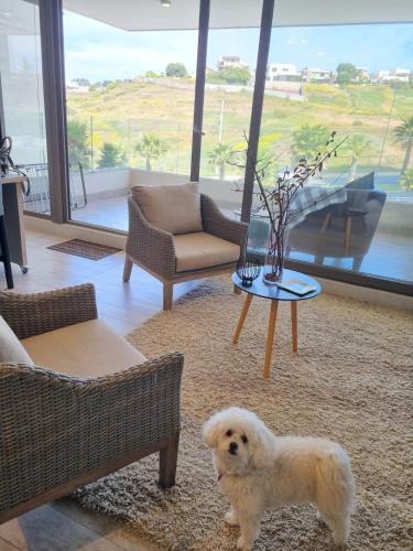 Acogedor y moderno apartamento cerca de Dunas y playa en Con Con