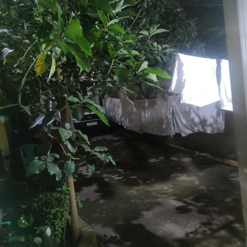 Arba Minch hiber Guest house in Arba Minch