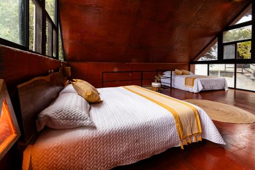 Xtambaa Selva in มาการิโอโกเมซ