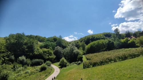 Apkārtne, Lazarev konak in Sirogojno