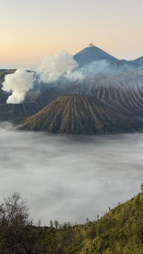 Homestay Rengganis Tengger - Kec. Bugulkidul