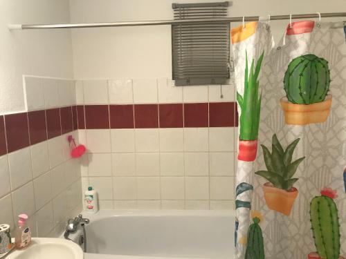 Bois Rose in 聖玫瑰