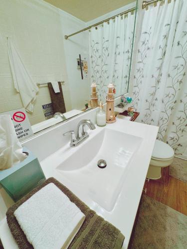 Miami Suite Life in Tamiami, USA