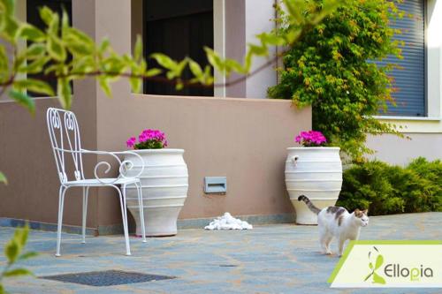 Ellopia Point Hotel - image 6