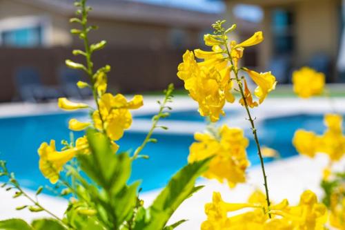 Enjoyable 3 bedroom house with Heated Pool option and Spa same as Hot Tub - image 2