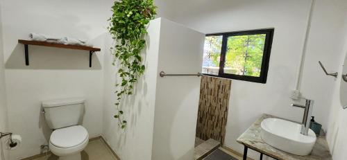 Bathroom, Loft Colibri en Centro Historico Carmen in Centro