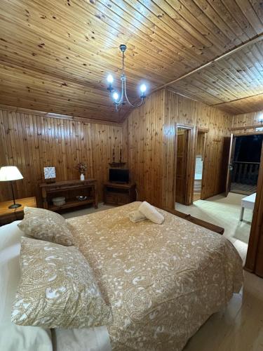 Apartamentos LA CASONA DE JARAIZ in 托雷門加