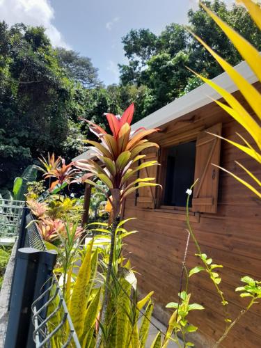 Gîte Ti Roucou (Gite Ti Roucou) in Petit-Bourg