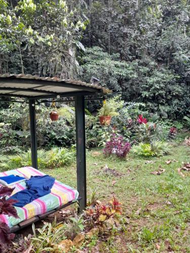 Gîte Ti Roucou (Gite Ti Roucou) in Petit-Bourg