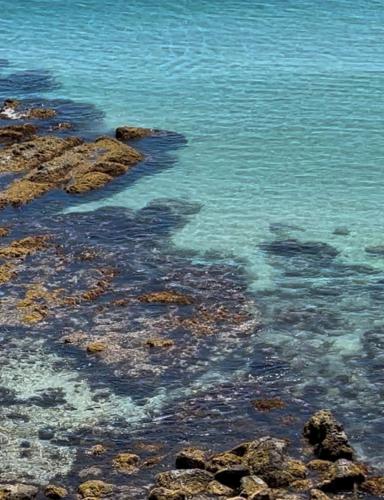 sun sea 白浜大浜海水浴場 コンビニ徒歩1分