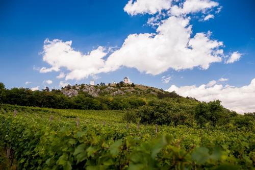 Hotel Golf Garni - image 12