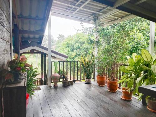 Bo Cabin in Garden โบคาบิน อิน การ์เดน in Nong Ki