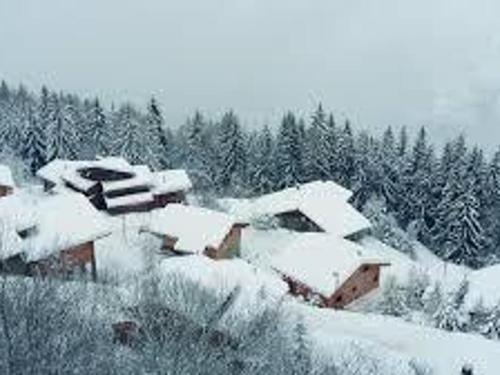 Chalet renove calme avec terrasse, animaux acceptes aux Arcs 1800 - FR-1-346-597 in Montvenix