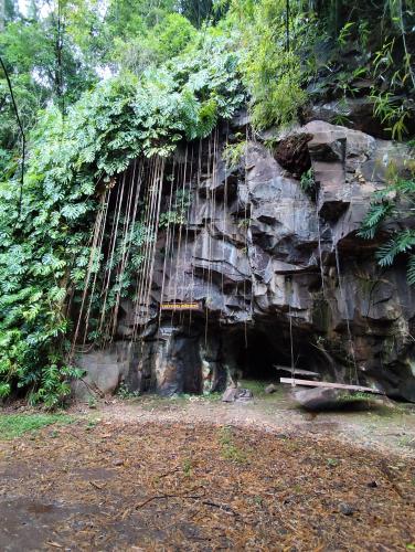 Cueva del Yaguarete in Puerto Rico