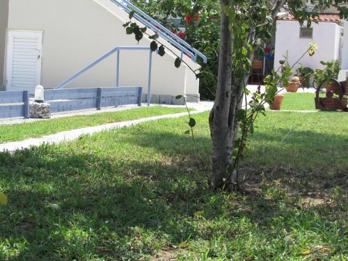 Sevi Apartments