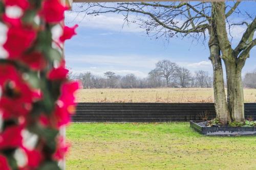 Comoditats, Lovely Holiday Home By The Limfjord in Egense