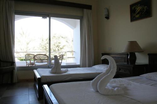 Twin/Double Room room in Oonas Dive Club