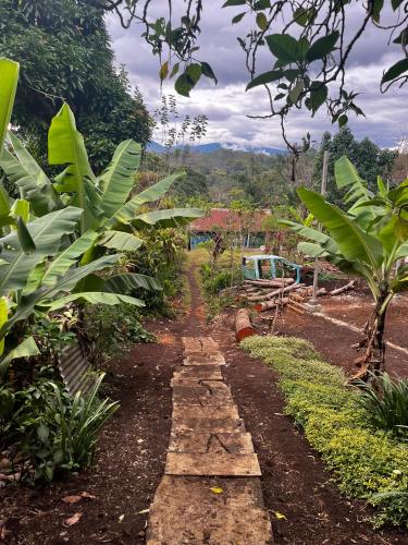 Jardim, Kelly's home stay in Goroka